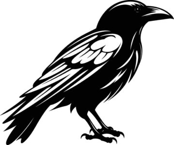 Christopher "Raven"