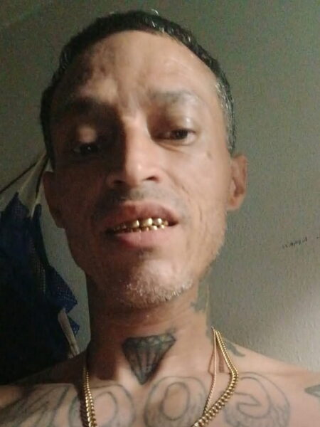 David